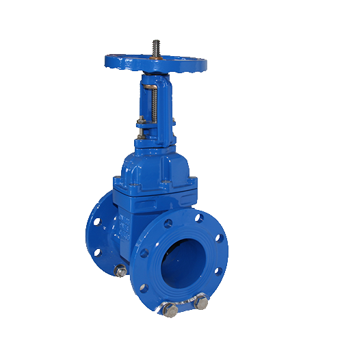 Rising stem gate valve