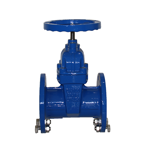 Non-rising stem gate valve